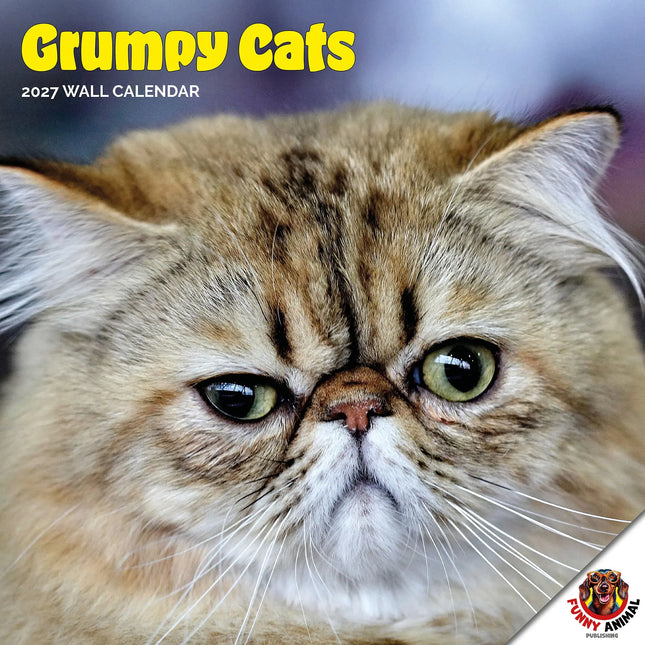 Dayplanner Grumpy Cat Kalender 2027