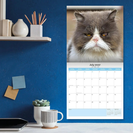 Dayplanner Grumpy Cat Kalender 2027