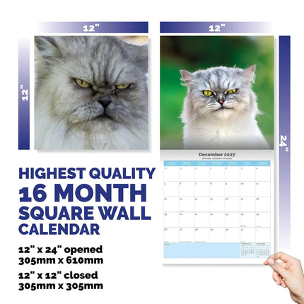 Dayplanner Grumpy Cat Kalender 2027