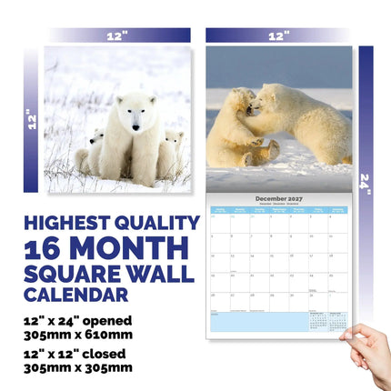 Dayplanner IJsberen Kalender 2027
