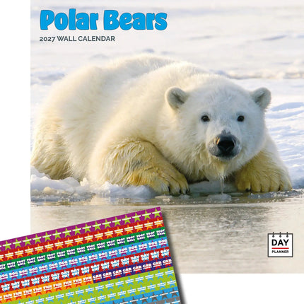 Dayplanner IJsberen Kalender 2027