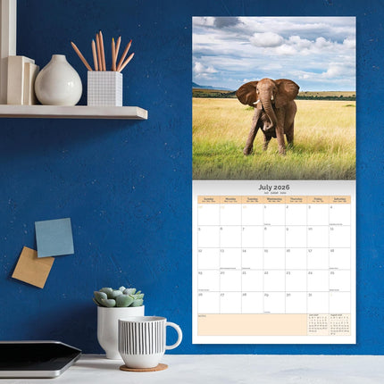 Dayplanner Olifanten Kalender 2026