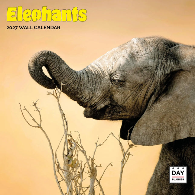 Dayplanner Olifanten Kalender 2027