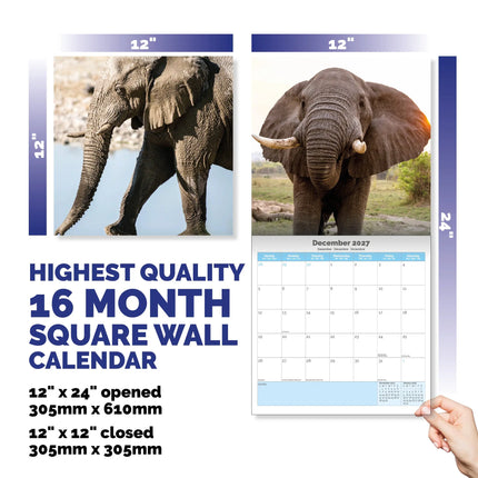 Dayplanner Olifanten Kalender 2027