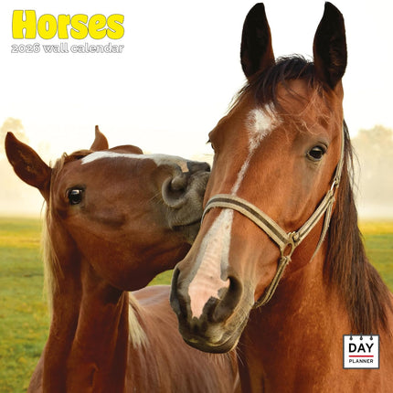 Dayplanner Paarden Kalender 2026