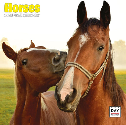 Dayplanner Paarden Kalender 2026