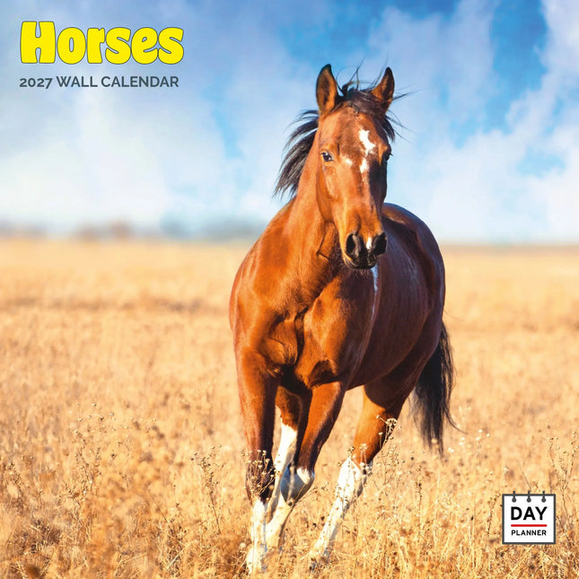 Dayplanner Paarden Kalender 2027