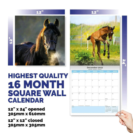 Dayplanner Paarden Kalender 2027