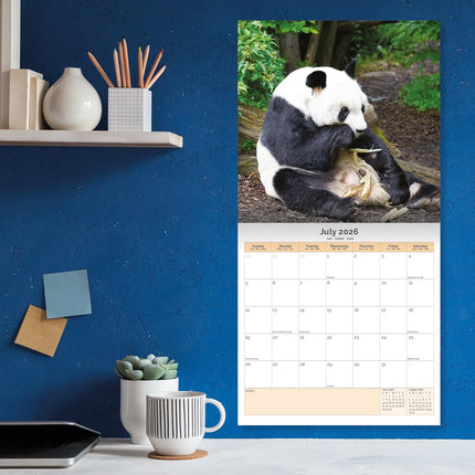 Dayplanner Panda Kalender 2026