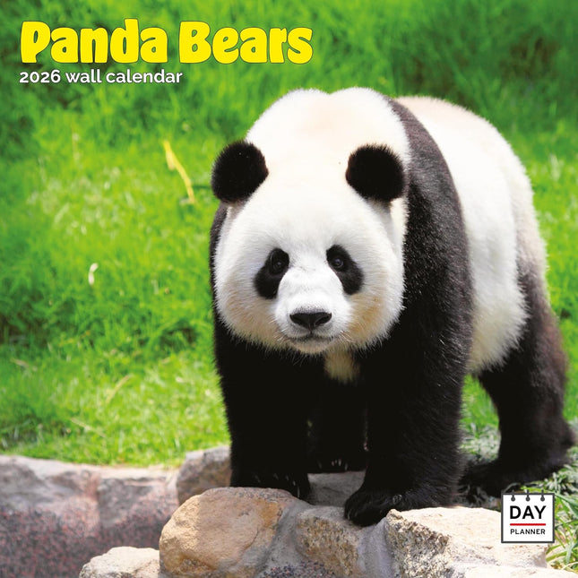 Dayplanner Panda Kalender 2026