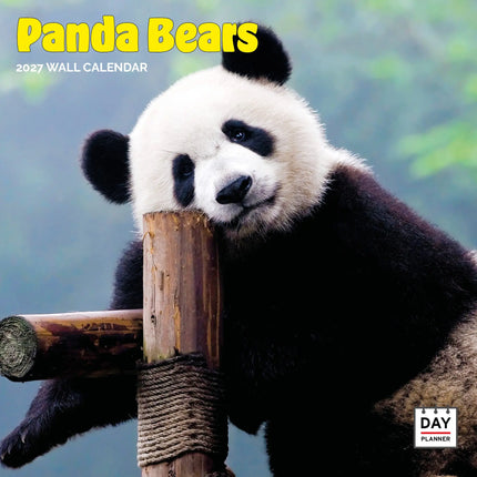 Dayplanner Panda Kalender 2027