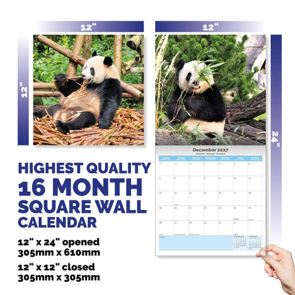 Dayplanner Panda Kalender 2027