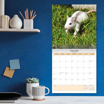 Dayplanner Ratten Kalender 2026