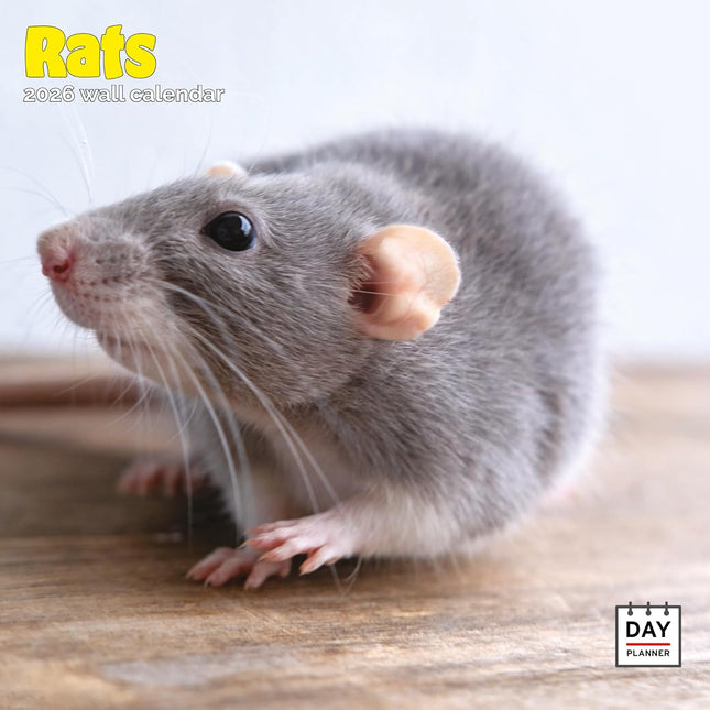 Dayplanner Ratten Kalender 2026