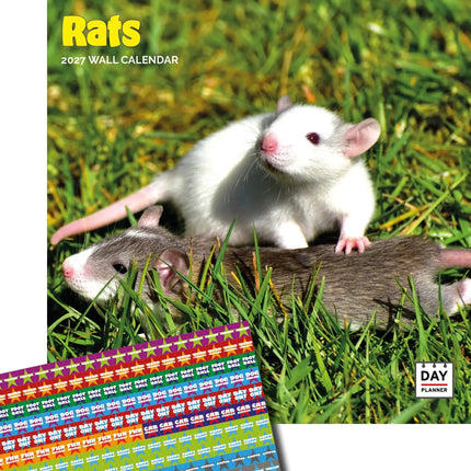 Dayplanner Ratten Kalender 2027