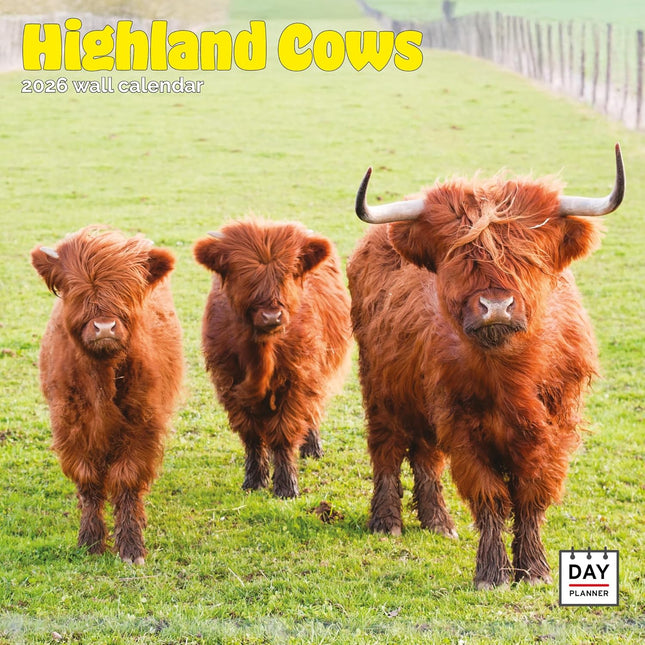Dayplanner Schotse Hooglanders Kalender 2026