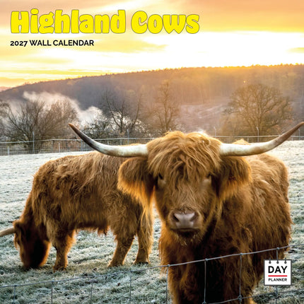Dayplanner Schotse Hooglanders Kalender 2026