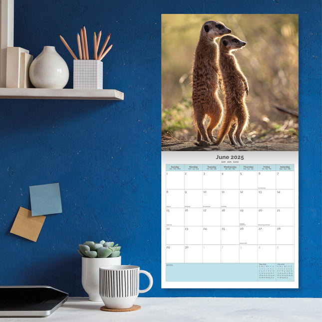 Dayplanner Stokstaartjes Kalender 2025