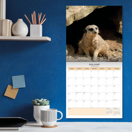 Dayplanner Stokstaartjes Kalender 2026