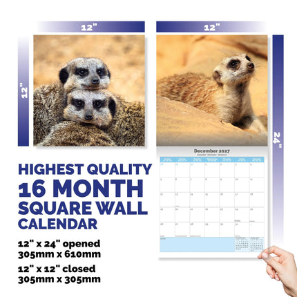 Dayplanner Stokstaartjes Kalender 2026