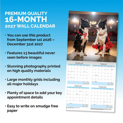 Dayplanner Strictly Dogs Dancing Kalender 2026