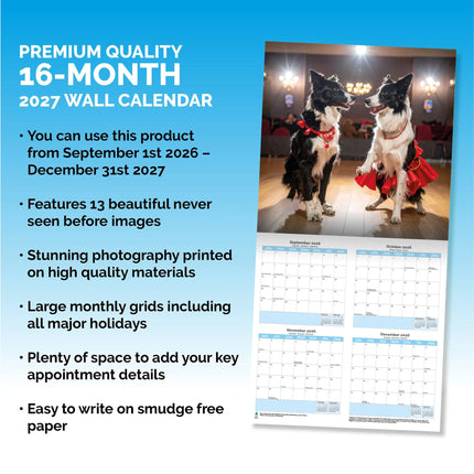 Dayplanner Strictly Dogs Dancing Kalender 2027
