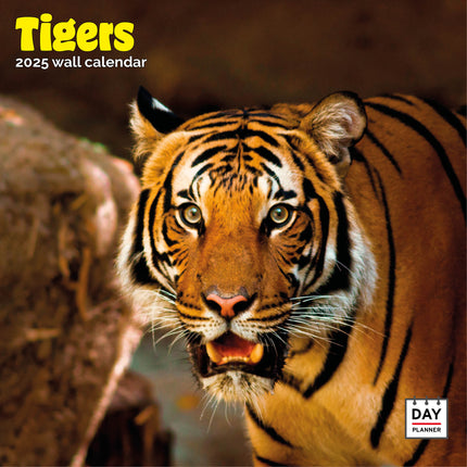 Dayplanner Tijger Kalender 2025