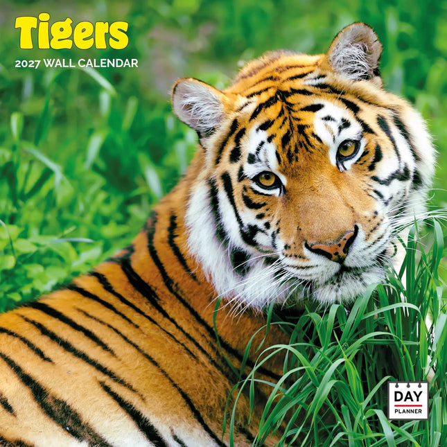 Dayplanner Tijger Kalender 2026