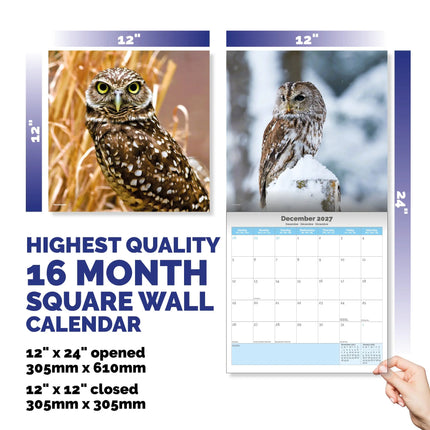 Dayplanner Uilen Kalender 2026