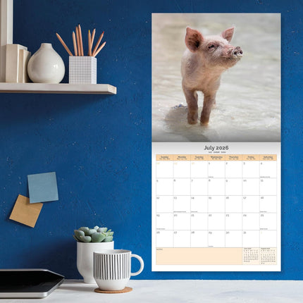 Dayplanner Varken Kalender 2026