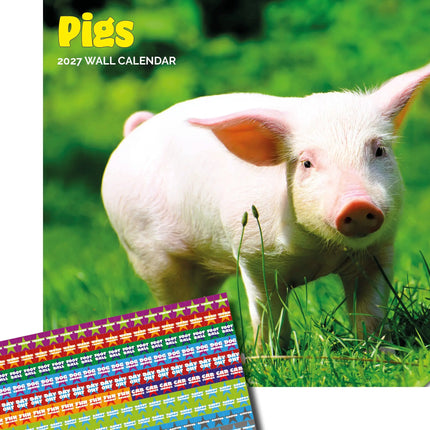 Dayplanner Varken Kalender 2026