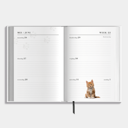 De Hobbit A5 Basic Agenda 2025 -2026 Katten