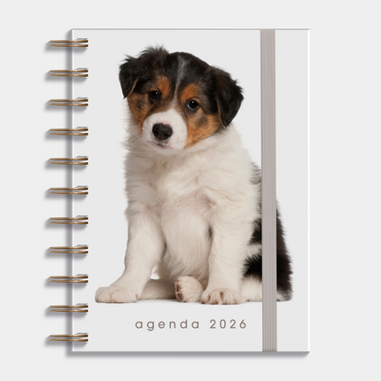 De Hobbit A6 Spiraal Agenda Honden 2026