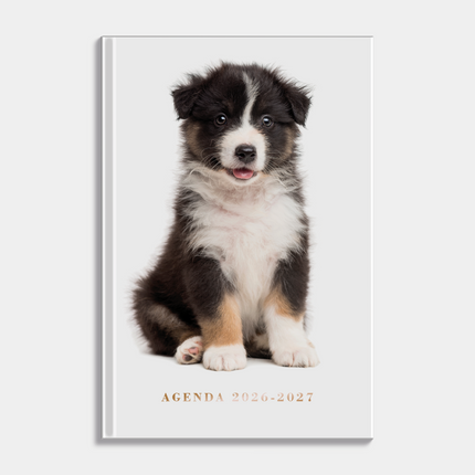 De Hobbit Agenda 2026-2027 ±A5 Honden