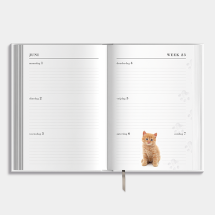 De Hobbit Agenda 2026-2027 ±A5 Katten