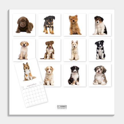 De Hobbit Honden Kalender 2026