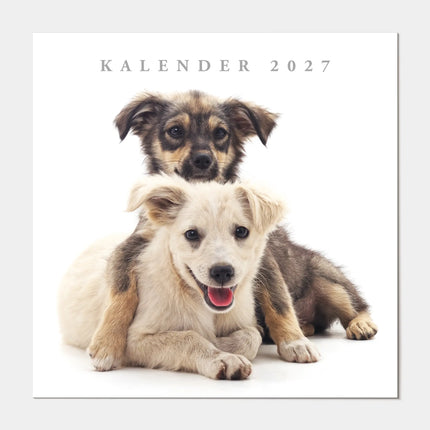 De Hobbit Honden Kalender 2027
