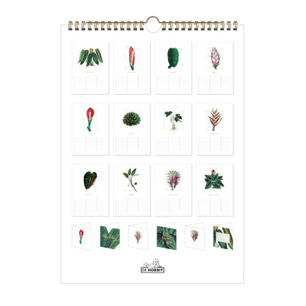 De Hobbit Jungle Verjaardagskalender
