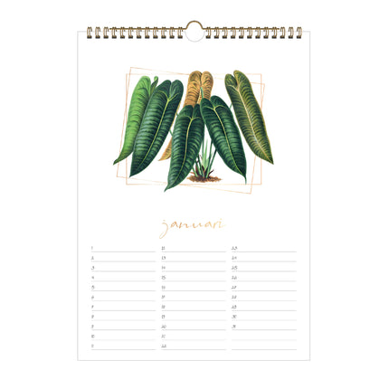 De Hobbit Jungle Verjaardagskalender