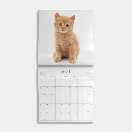 De Hobbit Katten Kalender 2026