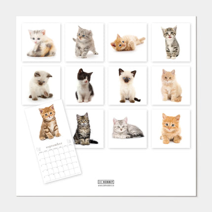 De Hobbit Katten Kalender 2027
