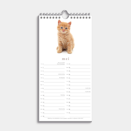 De Hobbit Katten Mini Kalender 2026