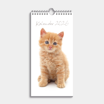 De Hobbit Katten Mini Kalender 2027