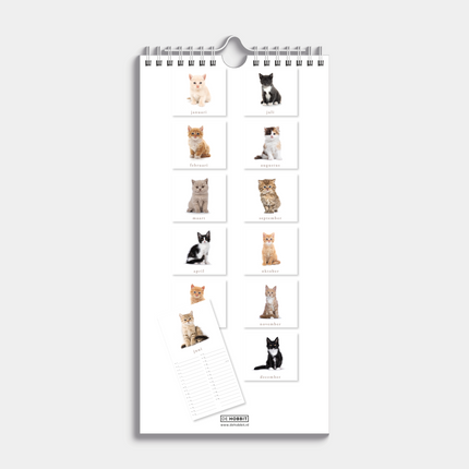 De Hobbit Katten Mini Kalender 2027