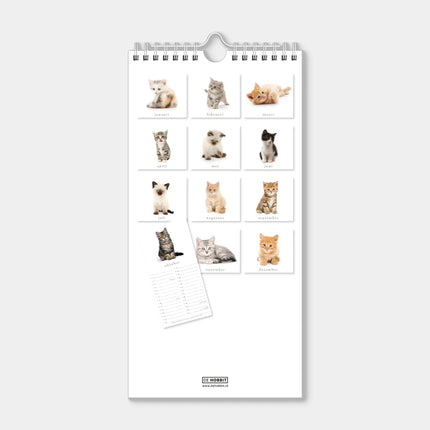 De Hobbit Katten Mini Kalender 2027