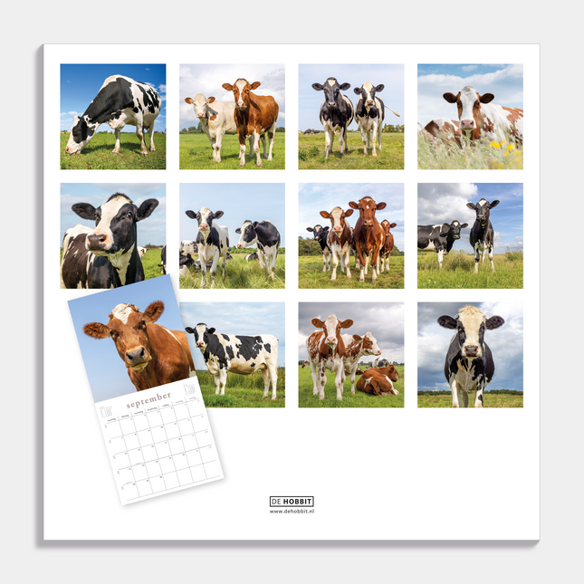 De Hobbit Koeien Kalender 2026