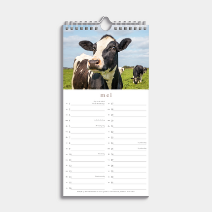 De Hobbit Koeien Mini Kalender 2026