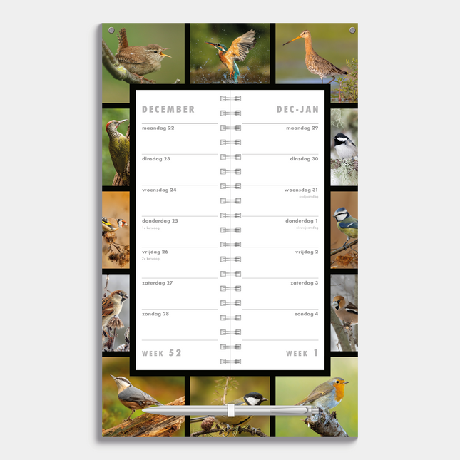 De Hobbit Vogels Omslag Kalender 2026