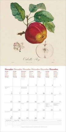 Dumont Fruits Kalender 2027