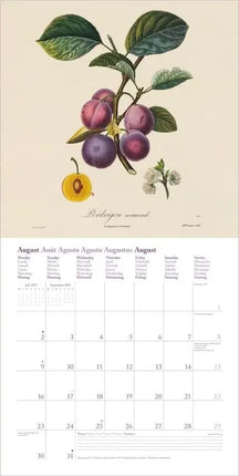 Dumont Fruits Kalender 2027